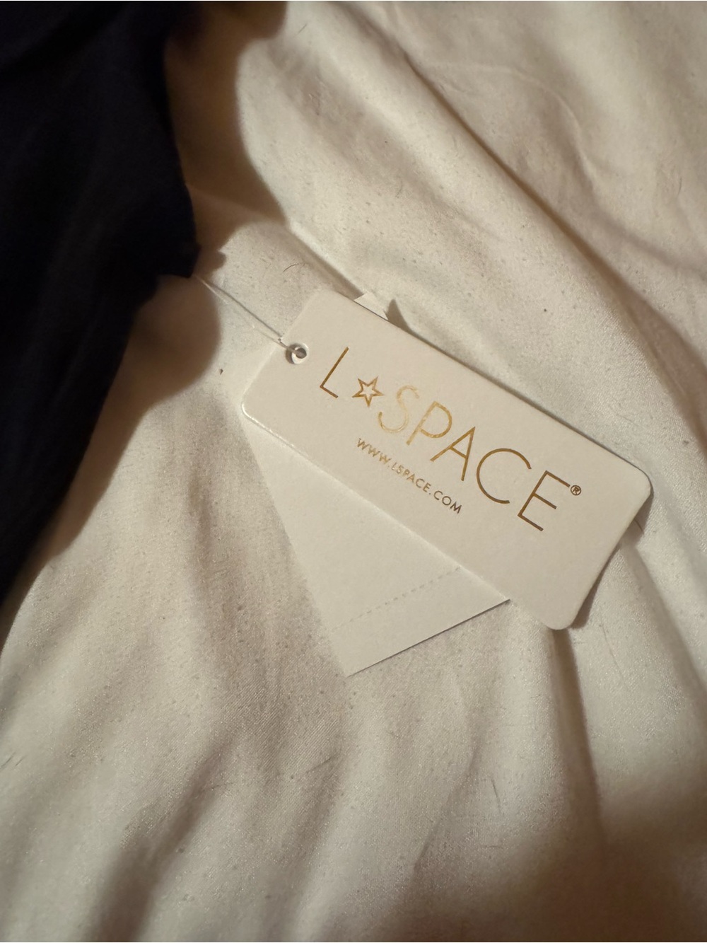 L*SPACE Black Nico Dress - Picture 5 of 5